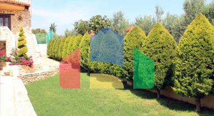 Продаж - Котедж 235 m² на Сітонії (Халкідіки)