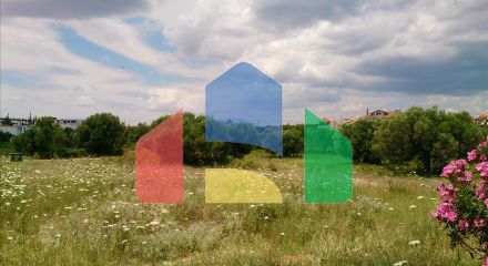 Продаж - Земельна ділянка 4770 m² на Сітонії (Халкідіки)