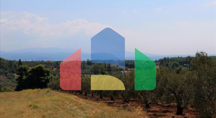 Продажа - Земельный участок 15120 m² на Ситонии (Халкидики)