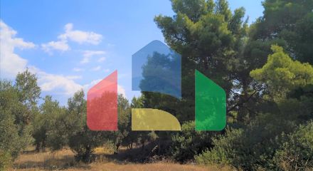 Продажа - Земельный участок 15120 m² на Ситонии (Халкидики)