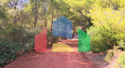 Продажа - Земельный участок 15120 m² на Ситонии (Халкидики)