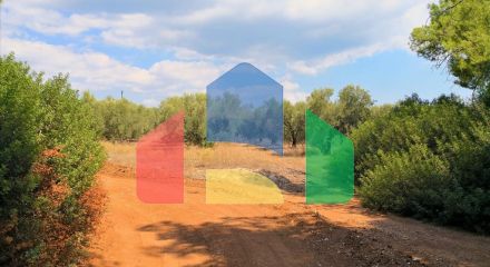 Продажа - Земельный участок 15120 m² на Ситонии (Халкидики)