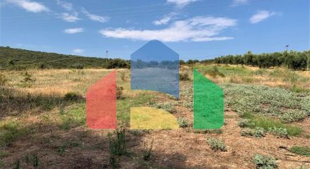 For Sale - Land 5301 m² in Sithonia, Chalkidiki