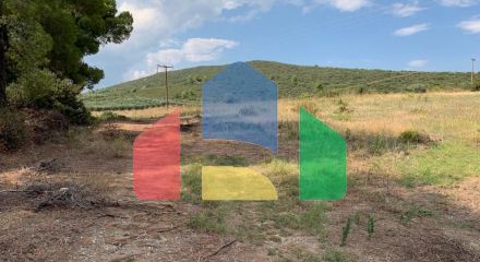 For Sale - Land 5301 m² in Sithonia, Chalkidiki