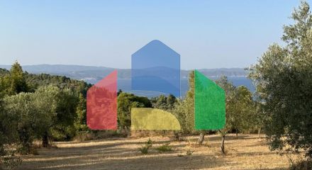 For Sale - Land 2500 m² in Sithonia, Chalkidiki