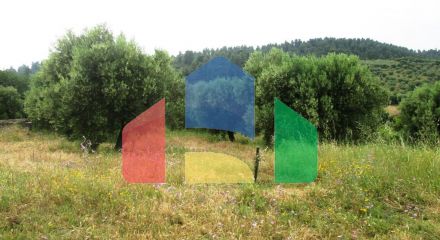 Продажа - Земельный участок 480 m² на Ситонии (Халкидики)