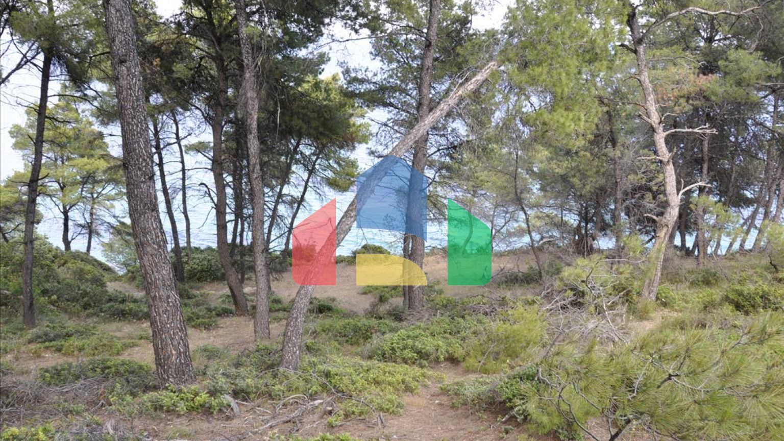 Продажа - Земельный участок 12150 m² на Ситонии (Халкидики)