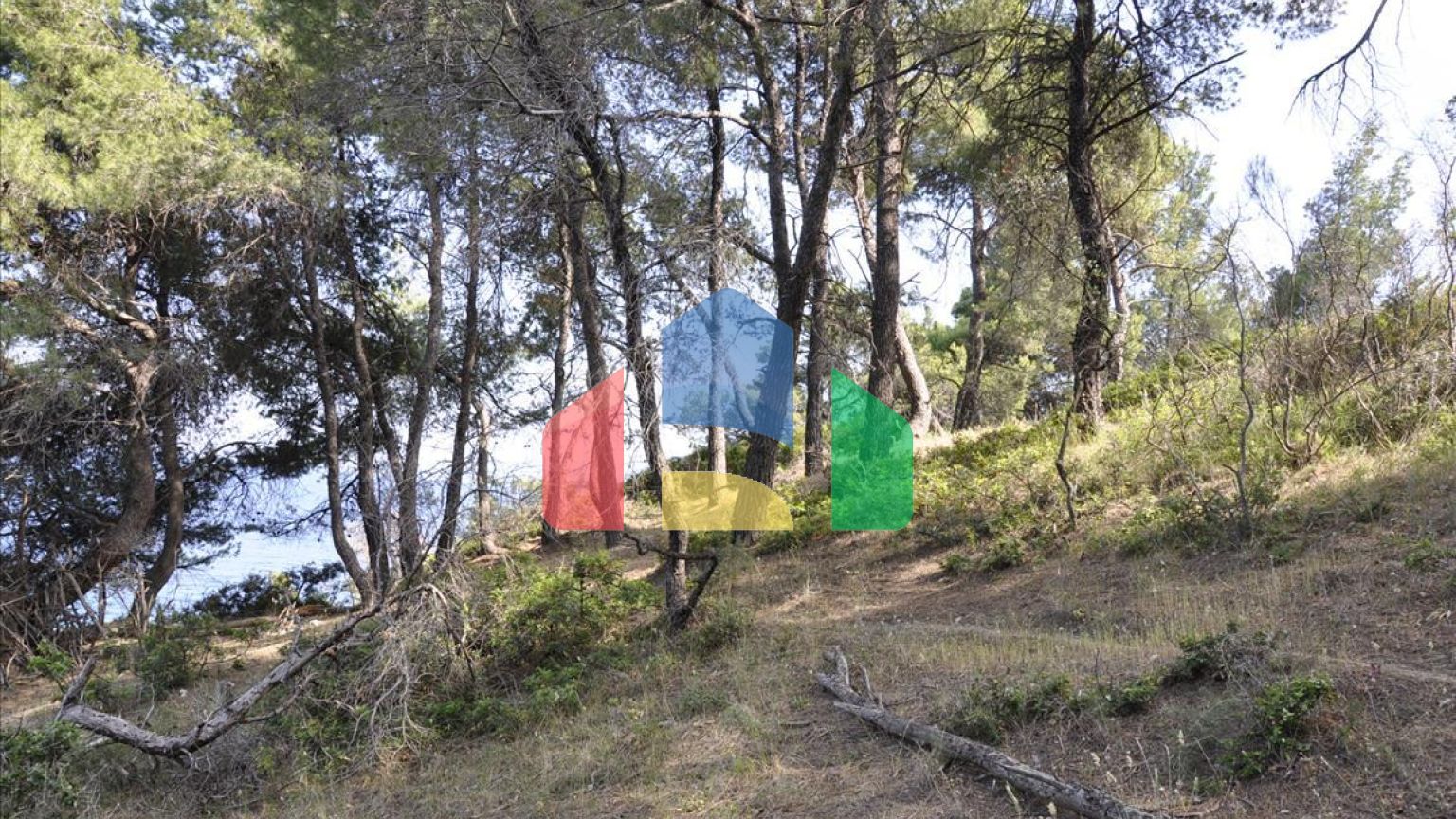 Продажа - Земельный участок 12150 m² на Ситонии (Халкидики)