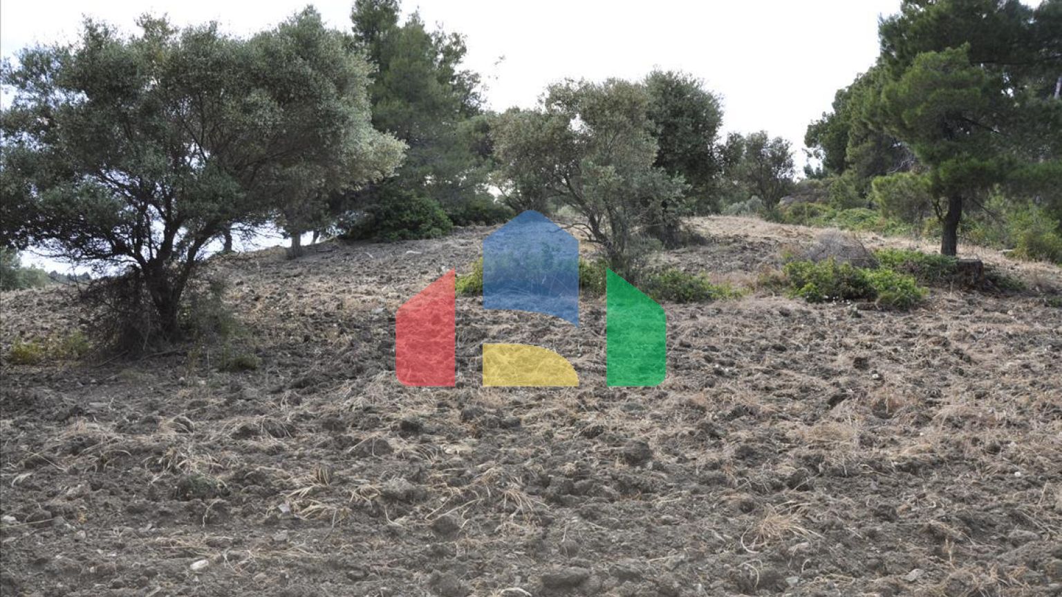 Продажа - Земельный участок 12150 m² на Ситонии (Халкидики)