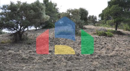 Продажа - Земельный участок 12150 m² на Ситонии (Халкидики) Продажа - Земельный участок 12150 m² на Ситонии (Халкидики)