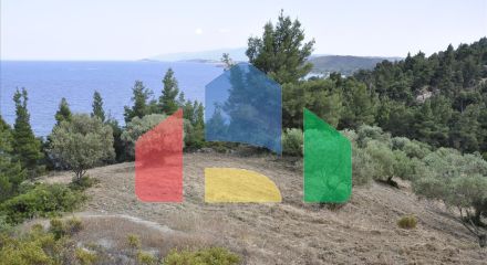 Продажа - Земельный участок 12150 m² на Ситонии (Халкидики) Продажа - Земельный участок 12150 m² на Ситонии (Халкидики)