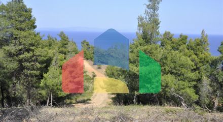 Продажа - Земельный участок 12150 m² на Ситонии (Халкидики) Продажа - Земельный участок 12150 m² на Ситонии (Халкидики)