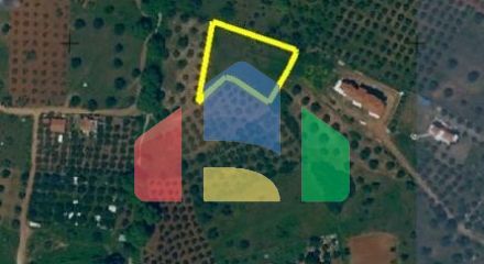 For Sale - Land 4000 m² in Sithonia, Chalkidiki