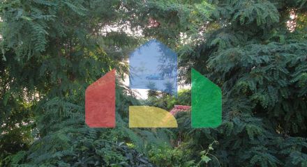 Продаж - Котедж 240 m² на Сітонії (Халкідіки)