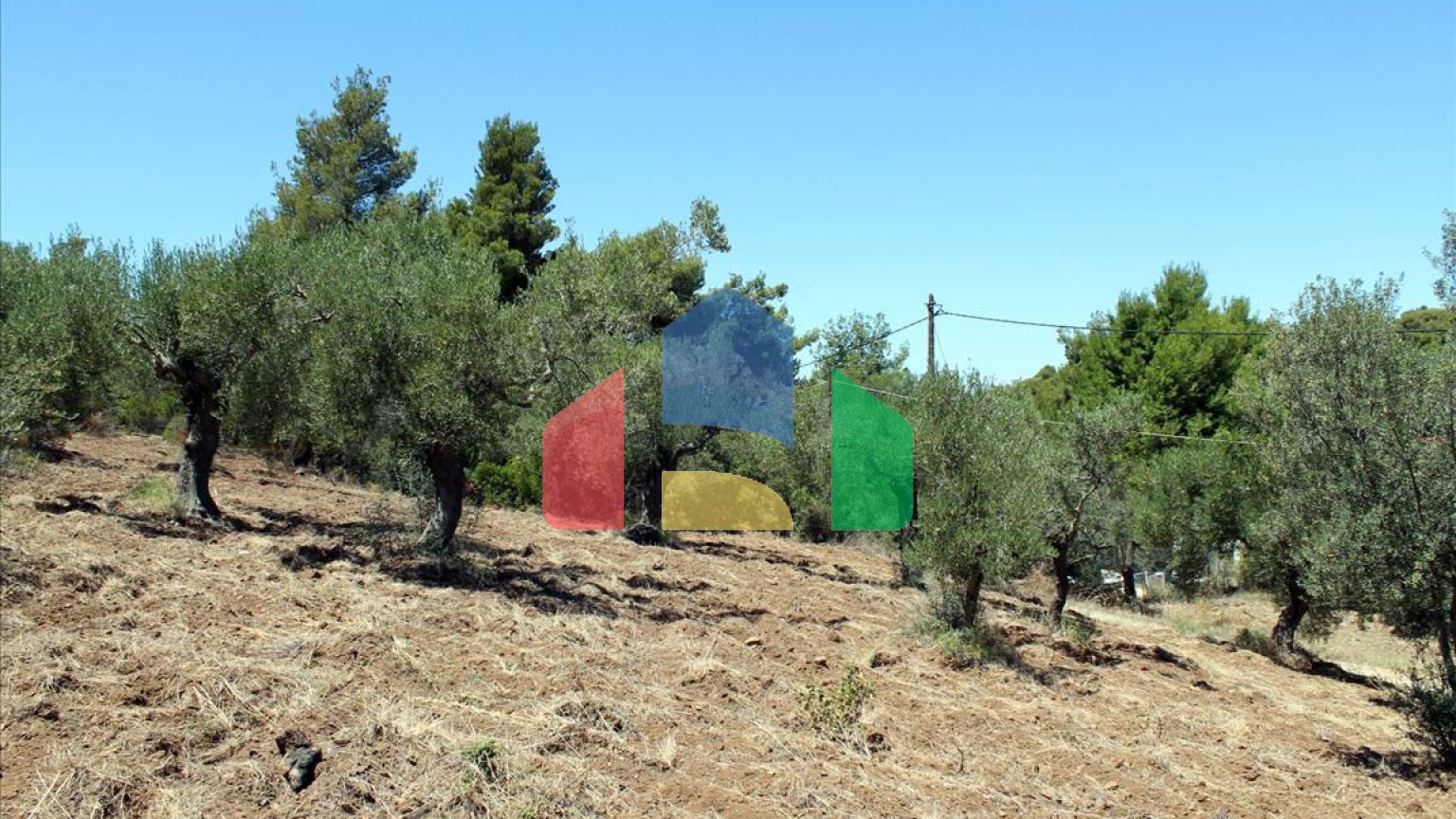 Продажа - Земельный участок 9000 m² на Ситонии (Халкидики)