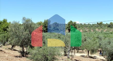 Продажа - Земельный участок 9000 m² на Ситонии (Халкидики)