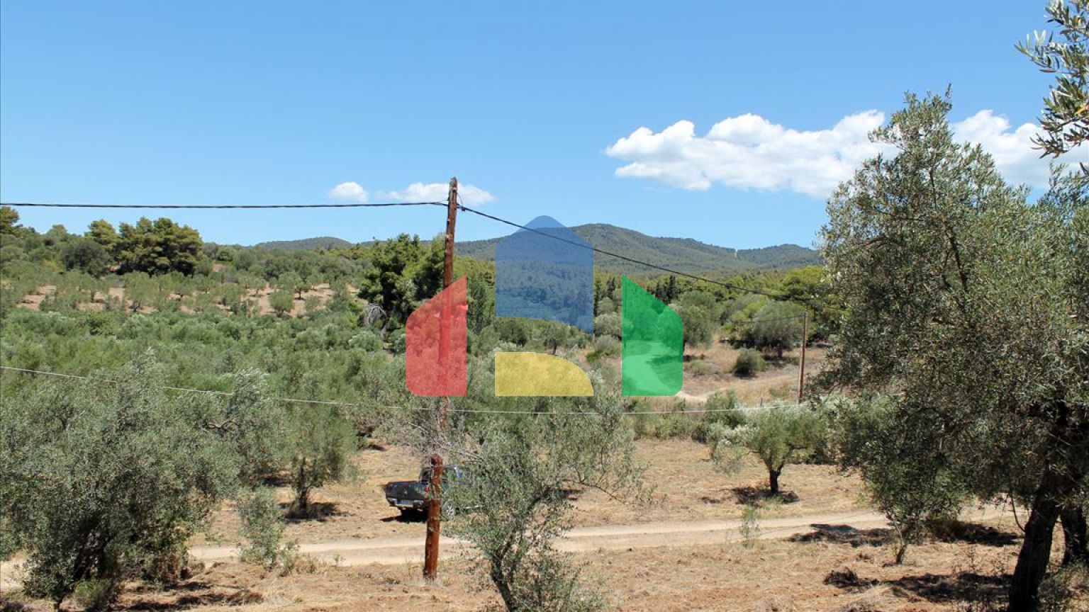 Продажа - Земельный участок 9000 m² на Ситонии (Халкидики)