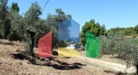 Продажа - Земельный участок 9000 m² на Ситонии (Халкидики)