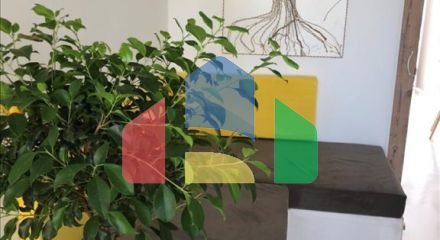 Продаж - Бізнес 240 m² на Сітонії (Халкідіки)