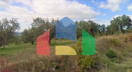 Продаж - Земельна ділянка 4500 m² на Сітонії (Халкідіки)