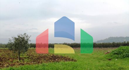 Продаж - Земельна ділянка 4890 m² на Сітонії (Халкідіки)