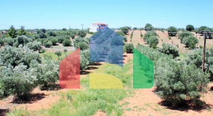 For Sale - Land 4000 m² in Sithonia, Chalkidiki