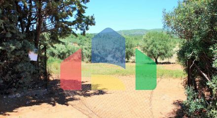 For Sale - Land 4000 m² in Sithonia, Chalkidiki