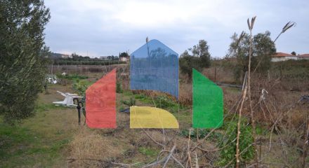 For Sale - Land 1000 m² in Sithonia, Chalkidiki