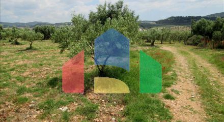 For Sale - Land 5338 m² in Sithonia, Chalkidiki
