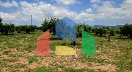 For Sale - Land 5338 m² in Sithonia, Chalkidiki