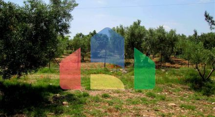 For Sale - Land 5338 m² in Sithonia, Chalkidiki