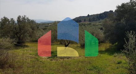 For Sale - Land 1800 m² in Sithonia, Chalkidiki