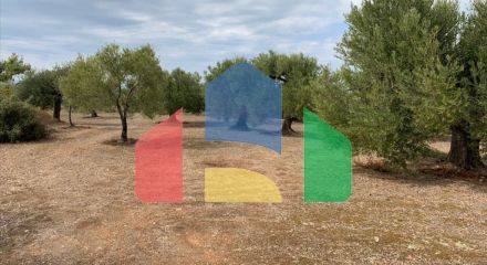 For Sale - Land 12458 m² in Sithonia, Chalkidiki