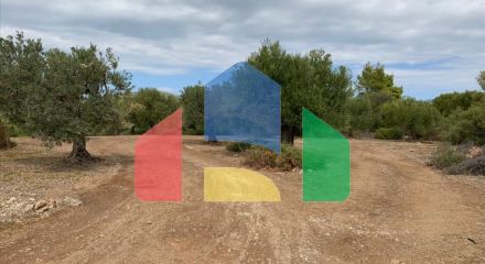 For Sale - Land 12458 m² in Sithonia, Chalkidiki