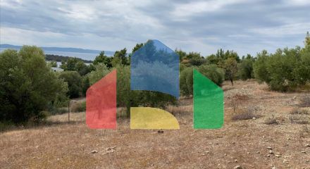 For Sale - Land 12458 m² in Sithonia, Chalkidiki