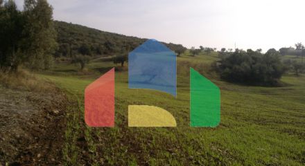 Продаж - Земельна ділянка 45000 m² на Сітонії (Халкідіки)