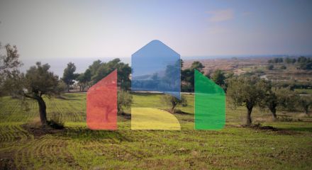 Продаж - Земельна ділянка 45000 m² на Сітонії (Халкідіки)