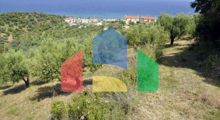 For Sale - Land 3750 m² in Sithonia, Chalkidiki