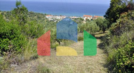 For Sale - Land 3750 m² in Sithonia, Chalkidiki