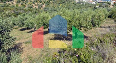 For Sale - Land 3750 m² in Sithonia, Chalkidiki
