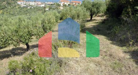 For Sale - Land 3750 m² in Sithonia, Chalkidiki