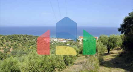 For Sale - Land 3750 m² in Sithonia, Chalkidiki