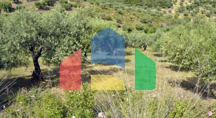 For Sale - Land 3750 m² in Sithonia, Chalkidiki