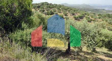 Продаж - Земельна ділянка 3750 m² на Сітонії (Халкідіки) Продаж - Земельна ділянка 3750 m² на Сітонії (Халкідіки)