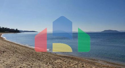 Продажа - Земельный участок 23000 m² на Ситонии (Халкидики) Продажа - Земельный участок 23000 m² на Ситонии (Халкидики)