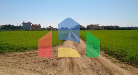 Продаж - Земельна ділянка 8800 m² на Сітонії (Халкідіки)