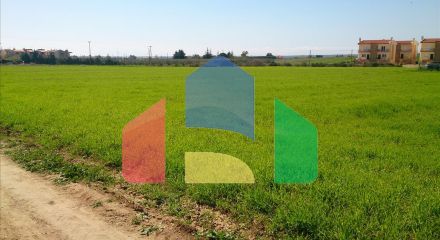 Продаж - Земельна ділянка 8800 m² на Сітонії (Халкідіки)