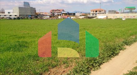 Продаж - Земельна ділянка 8800 m² на Сітонії (Халкідіки)