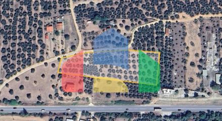 For Sale - Land 6007 m² in Sithonia, Chalkidiki