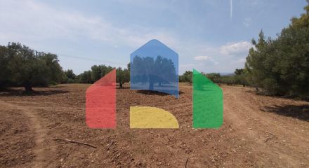 Продажа - Земельный участок 8000 m² на Ситонии (Халкидики)
